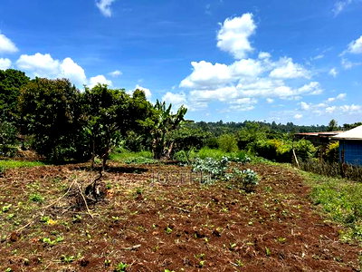 Banana Hill 1.4acre River Frontage - Image 3