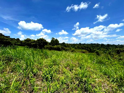 Banana Hill 1.4acre River Frontage - Image 1