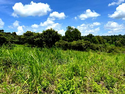 Banana Hill 1.4acre River Frontage - Image 6