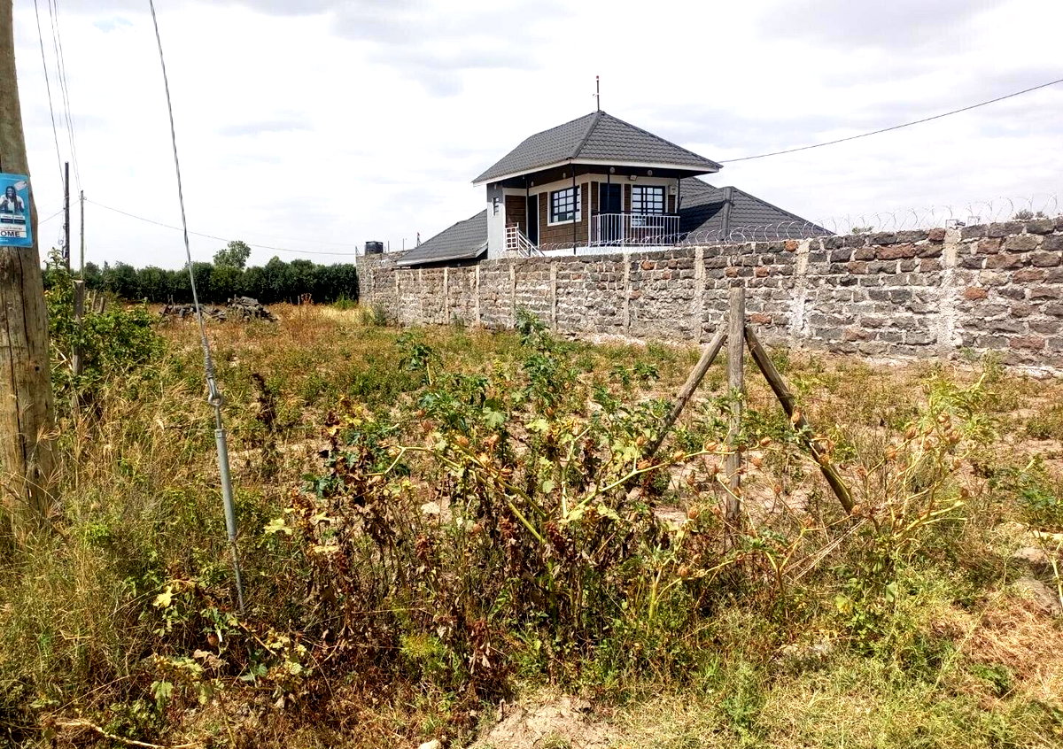1/8 Acre Plot Under 2M