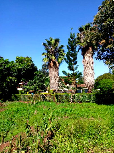 4bdrm Maisonette in Thome for sale - Image 9