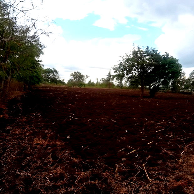 4 1/2 Acres for Sale in Riandira