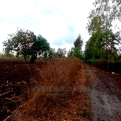 4 1/2 Acres for Sale in Riandira - Image 3