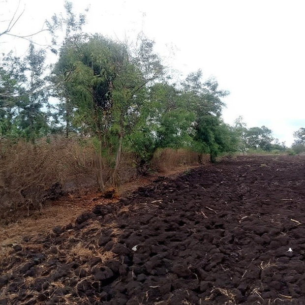 4 1/2 Acres for Sale in Riandira