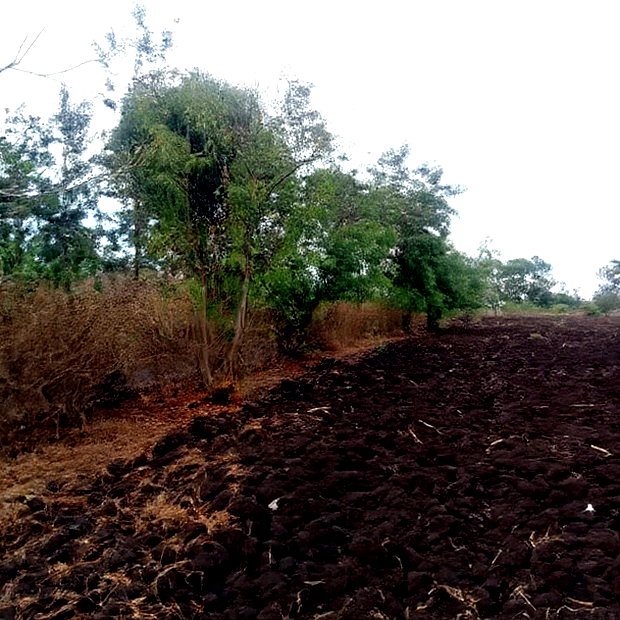 4 1/2 Acres for Sale in Riandira