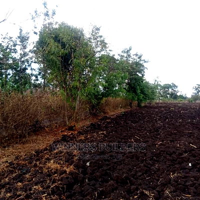 4 1/2 Acres for Sale in Riandira - Image 2