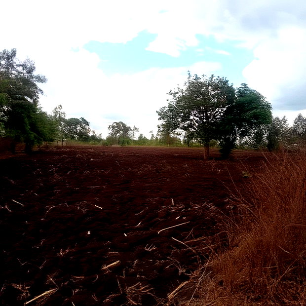 4 1/2 Acres for Sale in Riandira