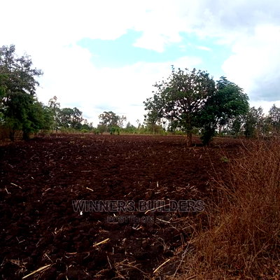4 1/2 Acres for Sale in Riandira - Image 4