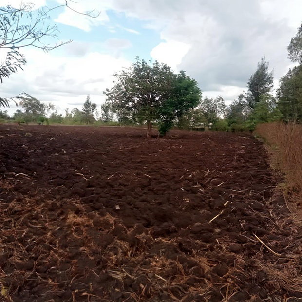4 1/2 Acres for Sale in Riandira