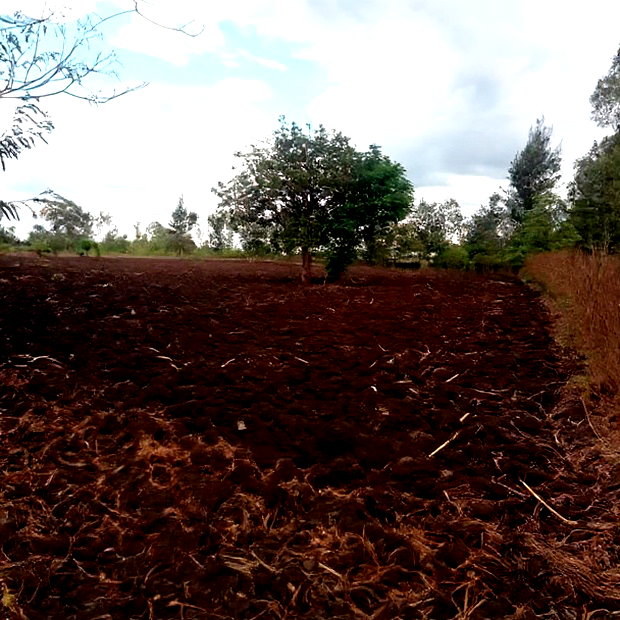 4 1/2 Acres for Sale in Riandira