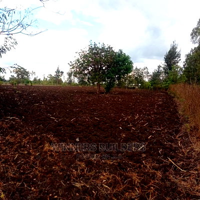 4 1/2 Acres for Sale in Riandira - Image 5