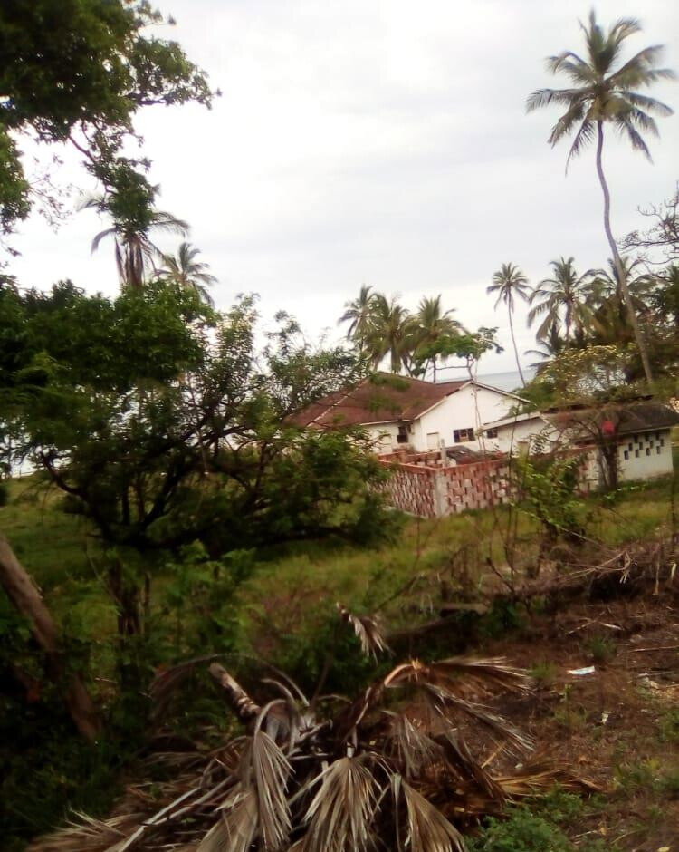 2.3-Acre Beach Plot with Garden