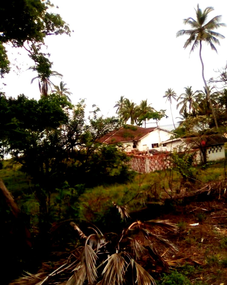 2.3-Acre Beach Plot with Garden