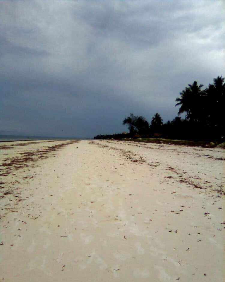 2.3-Acre Beach Plot with Garden