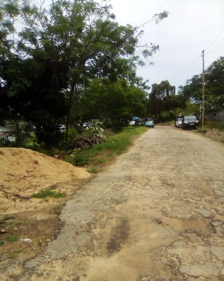 2.3-Acre Beach Plot with Garden