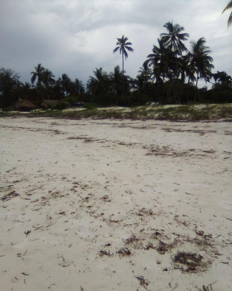 2.3-Acre Beach Plot with Garden