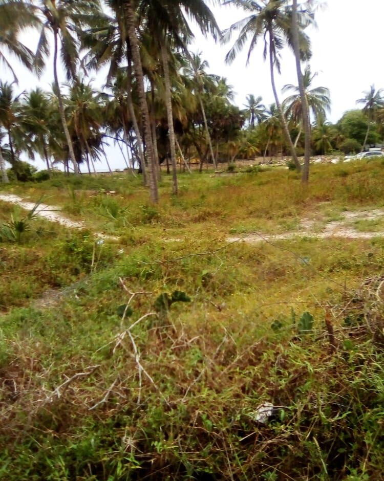 2.3-Acre Beach Plot with Garden
