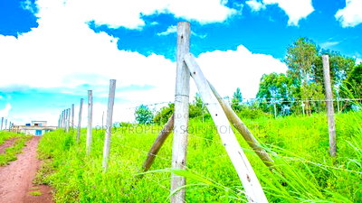 Prime Residential Plots in Kikuyu, Karai-Migumoini for Sale. - Image 5