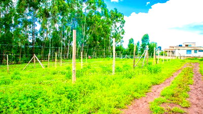 Prime Residential Plots in Kikuyu, Karai-Migumoini for Sale. - Image 4