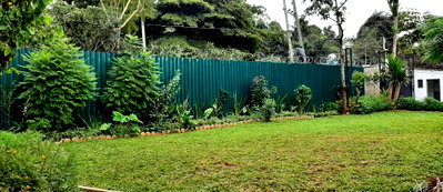 Half Acre Garden Plot in Westlands