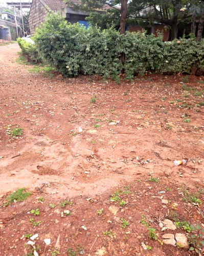 KSh 200M Kileleshwa Plot