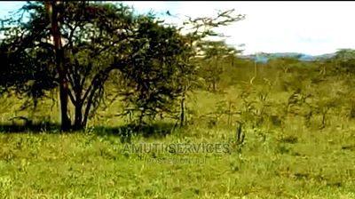 Maanzoni: 5 Acres Commercial - Image 3