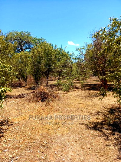 For Sale 100 Acres for Sale Kilifi. - Image 2