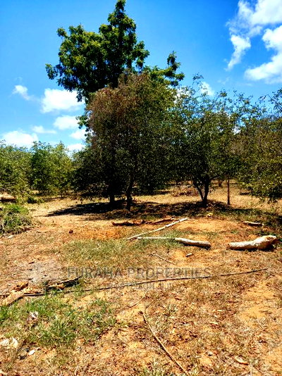 For Sale 100 Acres for Sale Kilifi. - Image 5