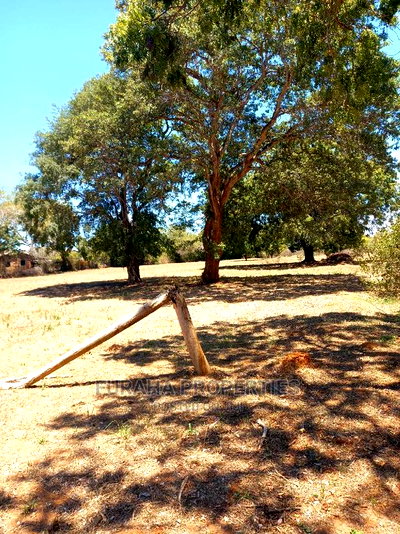 For Sale 100 Acres for Sale Kilifi. - Image 4