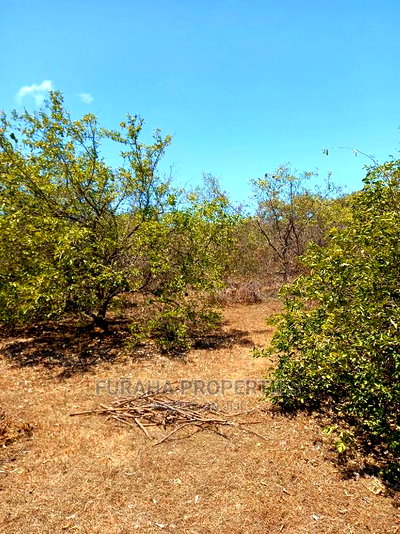 For Sale 100 Acres for Sale Kilifi. - Image 1