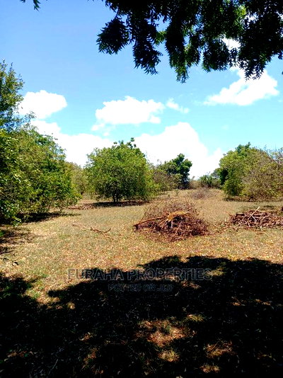 For Sale 100 Acres for Sale Kilifi. - Image 3