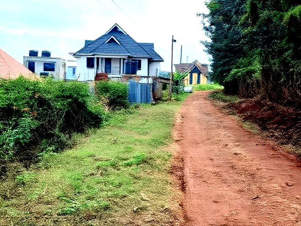 4 PlotsKsh 2.5m EachMugutha,Ruiru.