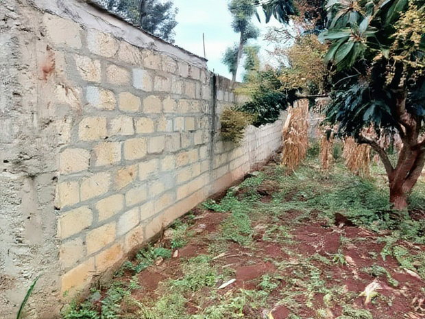 4 PlotsKsh 2.5m EachMugutha,Ruiru.