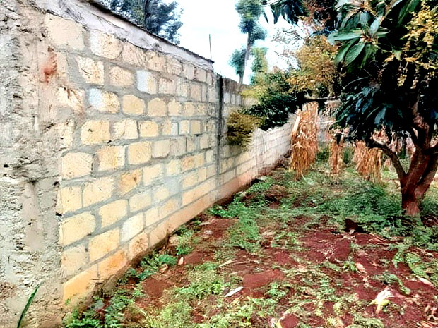 4 PlotsKsh 2.5m EachMugutha,Ruiru.