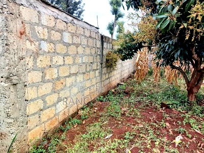 4 PlotsKsh 2.5m EachMugutha,Ruiru. - Image 5