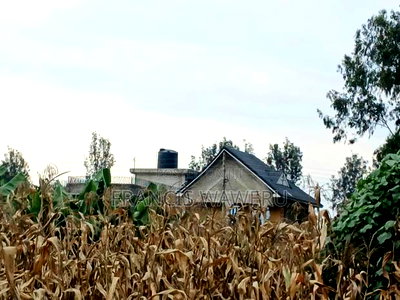 4 PlotsKsh 2.5m EachMugutha,Ruiru. - Image 7