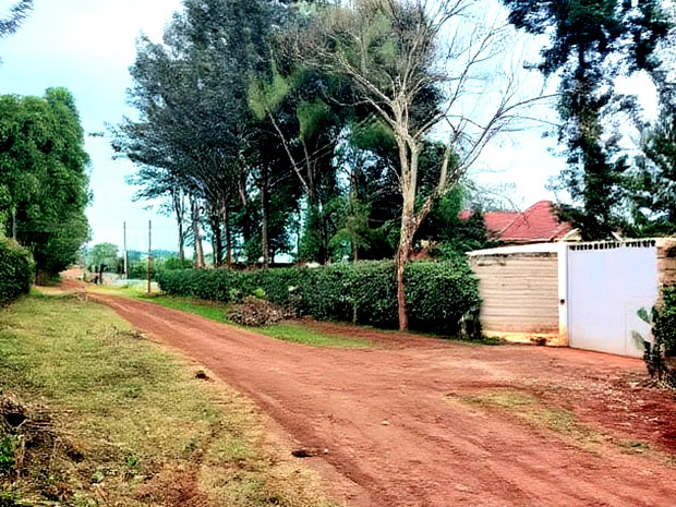 4 PlotsKsh 2.5m EachMugutha,Ruiru.