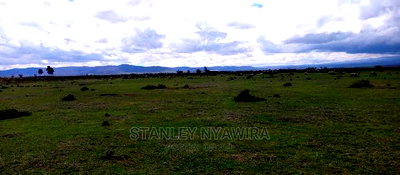 Now Available 1,2,3,Acres Nanyuki Segera for Sale - Image 5