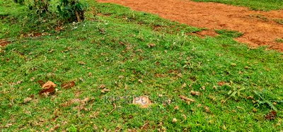 Prime Residential Plpt Got Sale in Chepkanga Eldoret - Image 5