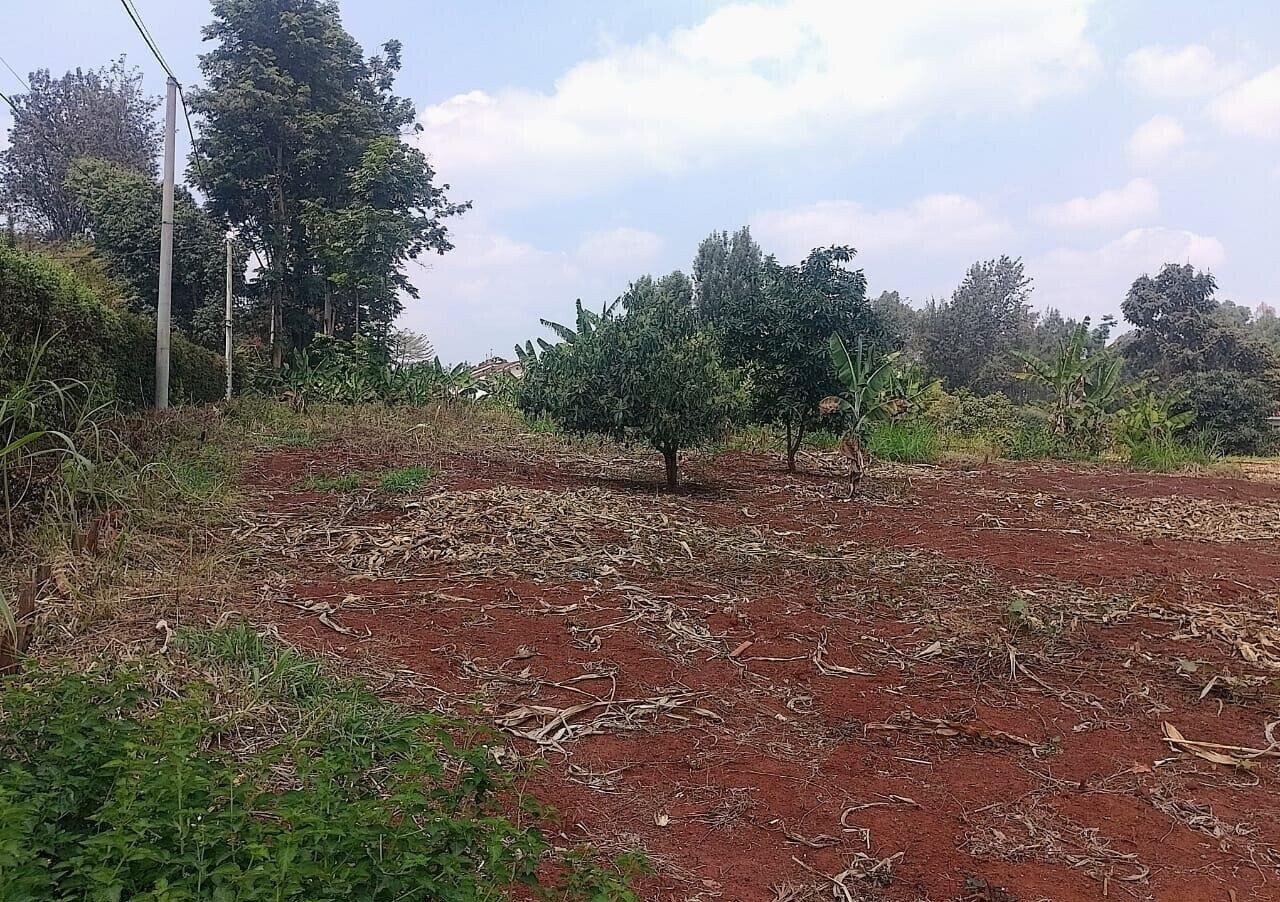 1/2 Acre Ridgeways Plot at KSh 38M