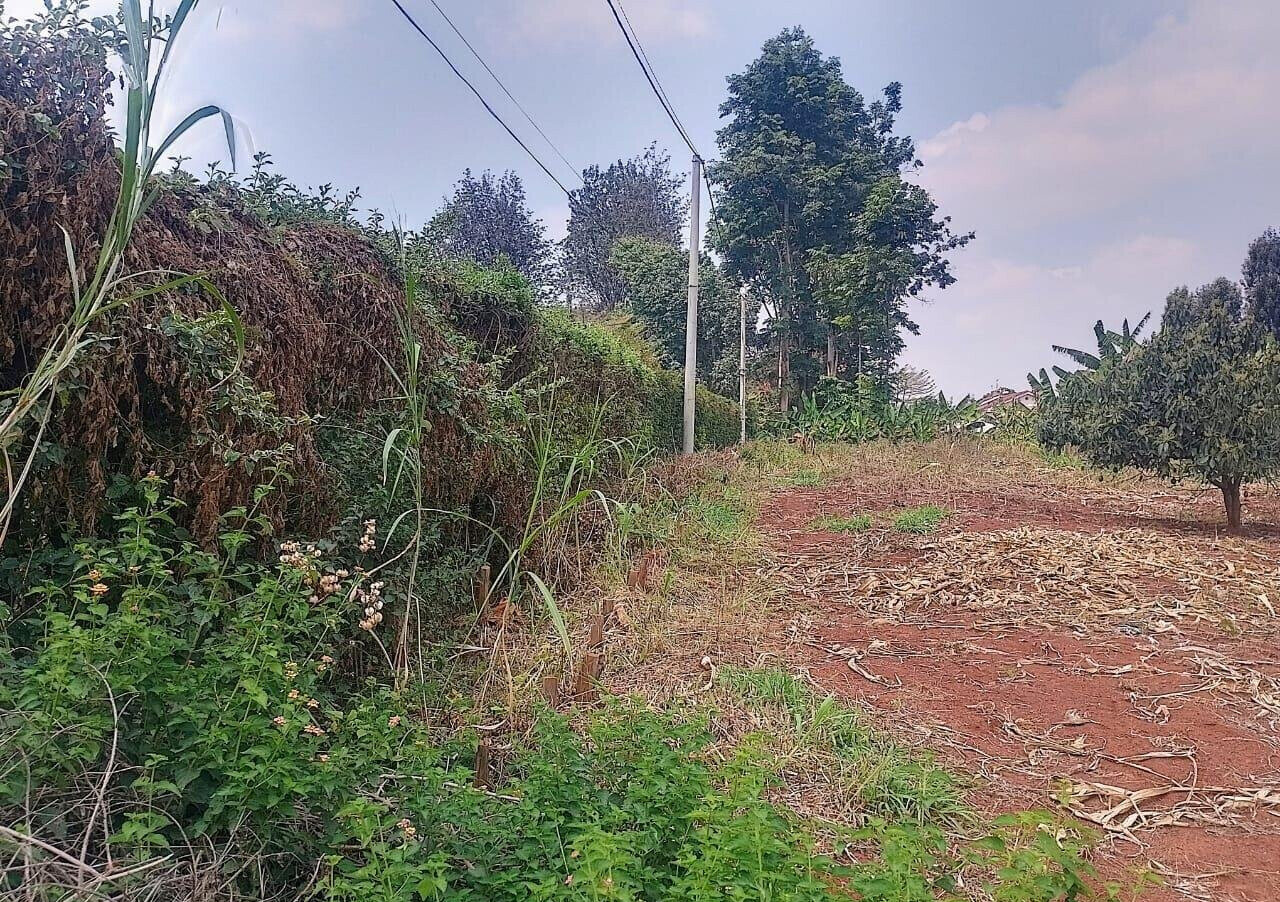 1/2 Acre Ridgeways Plot at KSh 38M