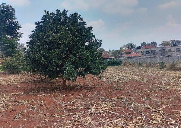 1/2 Acre Ridgeways Plot at KSh 38M