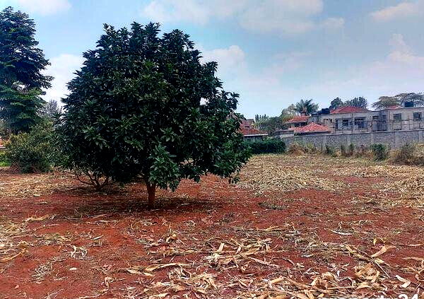 1/2 Acre Ridgeways Plot at KSh 38M