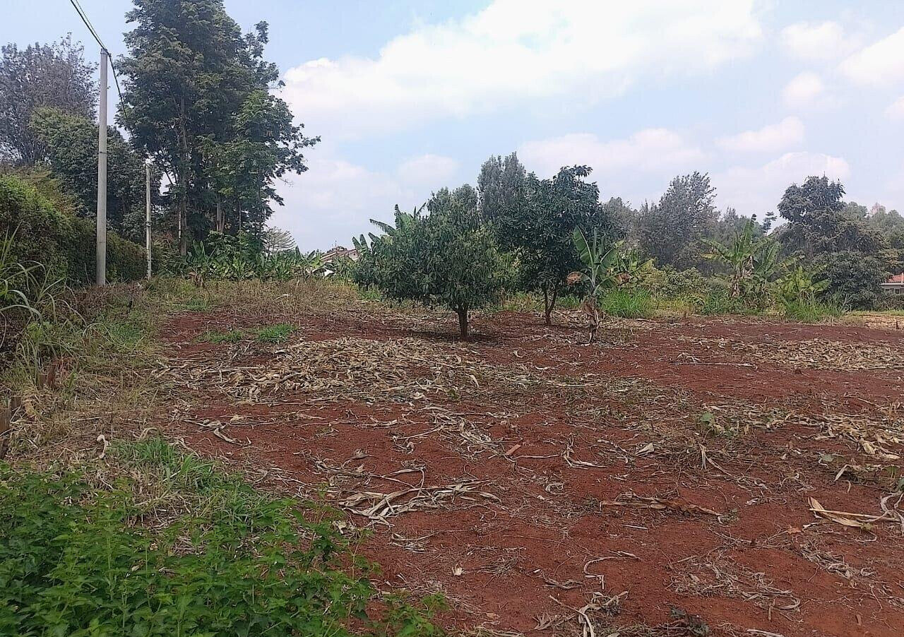 1/2 Acre Ridgeways Plot at KSh 38M