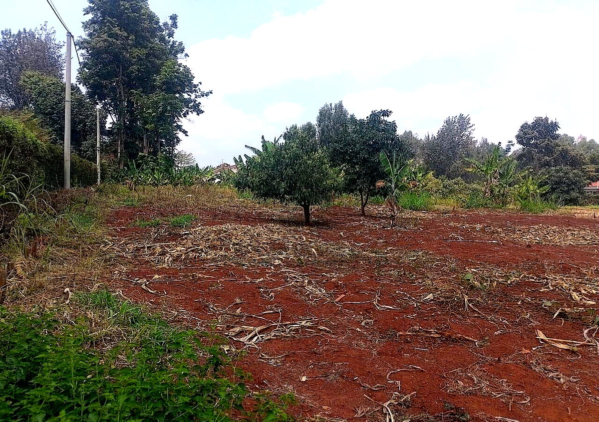 1/2 Acre Ridgeways Plot at KSh 38M