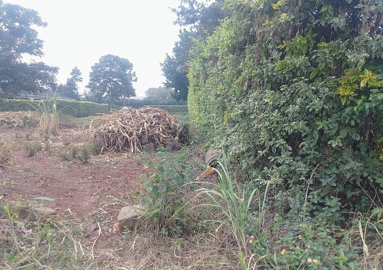 1/2 Acre Ridgeways Plot at KSh 38M