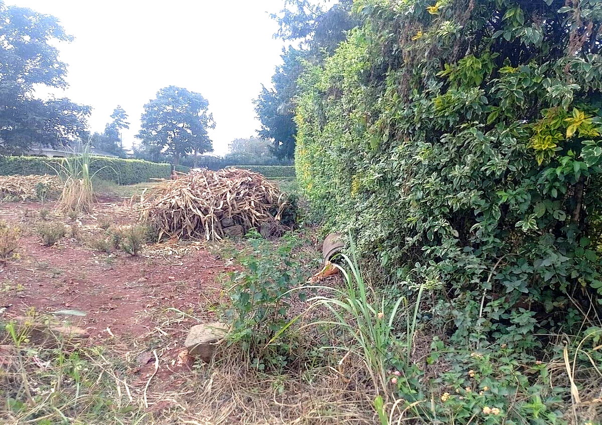 1/2 Acre Ridgeways Plot at KSh 38M