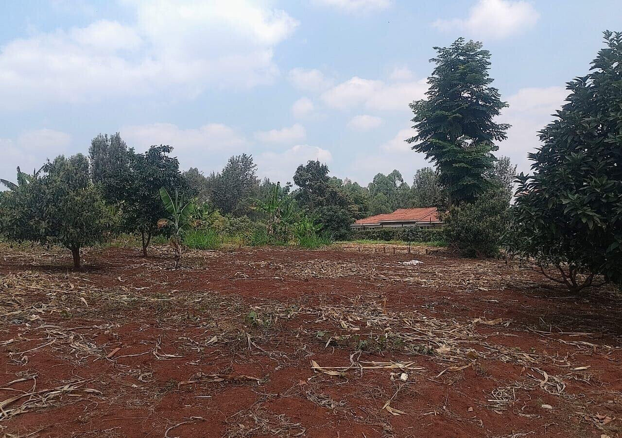 1/2 Acre Ridgeways Plot at KSh 38M