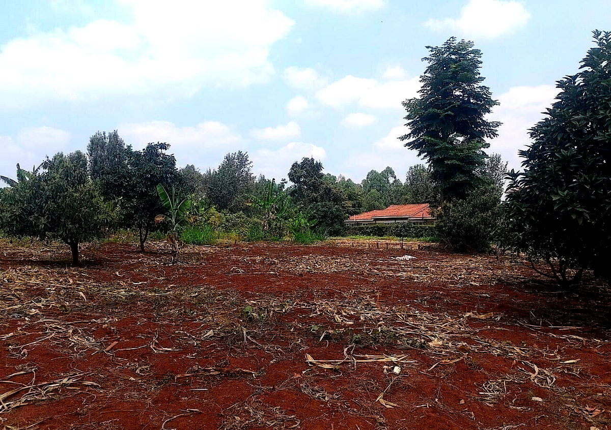 1/2 Acre Ridgeways Plot at KSh 38M