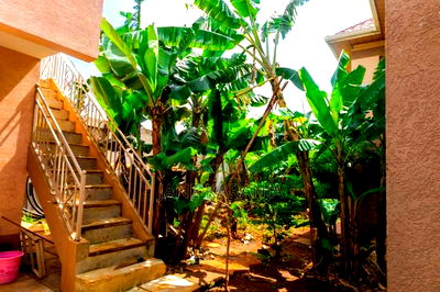 4bdrm Mansion in Thika for sale - Image 3